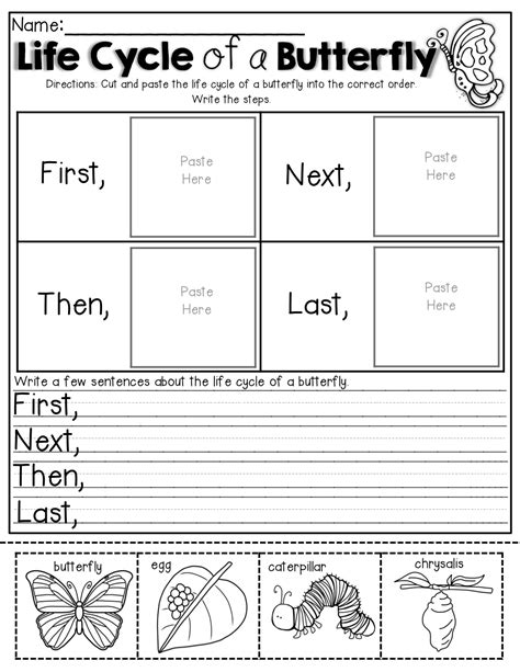 butterfly life cycle worksheet grade 1